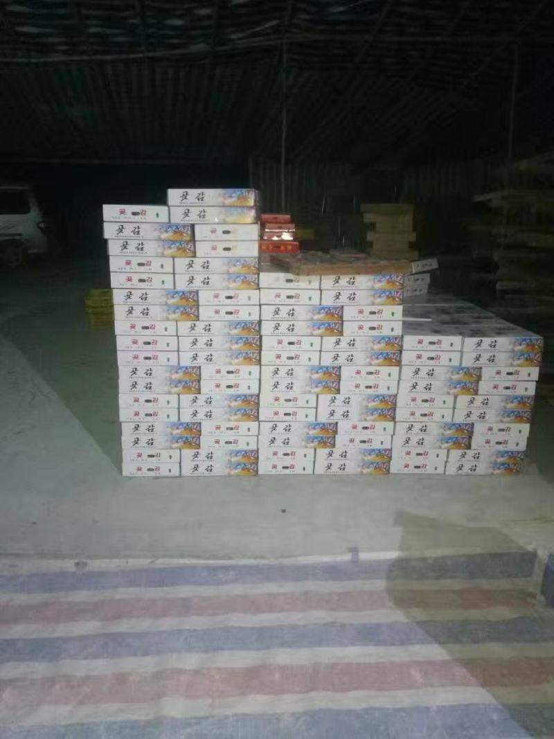 烂饼（优质烂布，无酸无空壳，多数是机器切烂的优质饼）