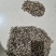 打瓜子，手打瓜子，黑瓜子，大板瓜子，兰州黑瓜子，籽瓜