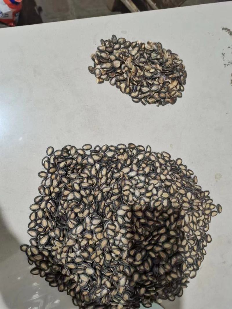 打瓜子，手打瓜子，黑瓜子，大板瓜子，兰州黑瓜子，籽瓜