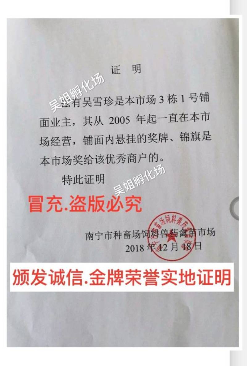 瑶鸡苗️，质量保障、店内有（诚信企业）证书，红瑶鸡
