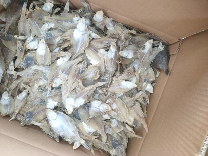 鲽鱼偏口鱼干，盐卤晒干的，价格便宜，一手货源。自己加工的