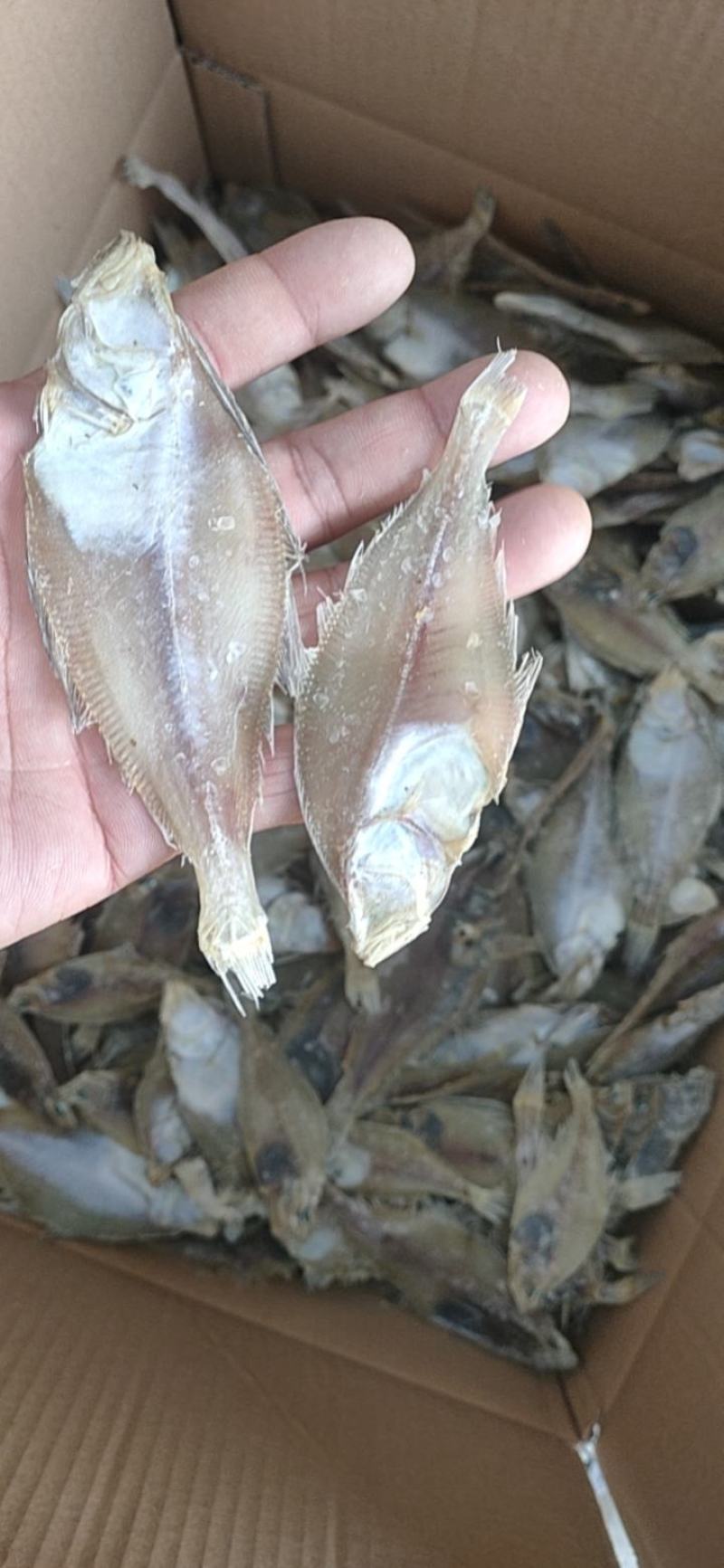 鲽鱼偏口鱼干，盐卤晒干的，价格便宜，一手货源。自己加工的