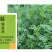 箭舌豌豆种子野豌豆，抑制杂草，改善土壤，给果园带来营养