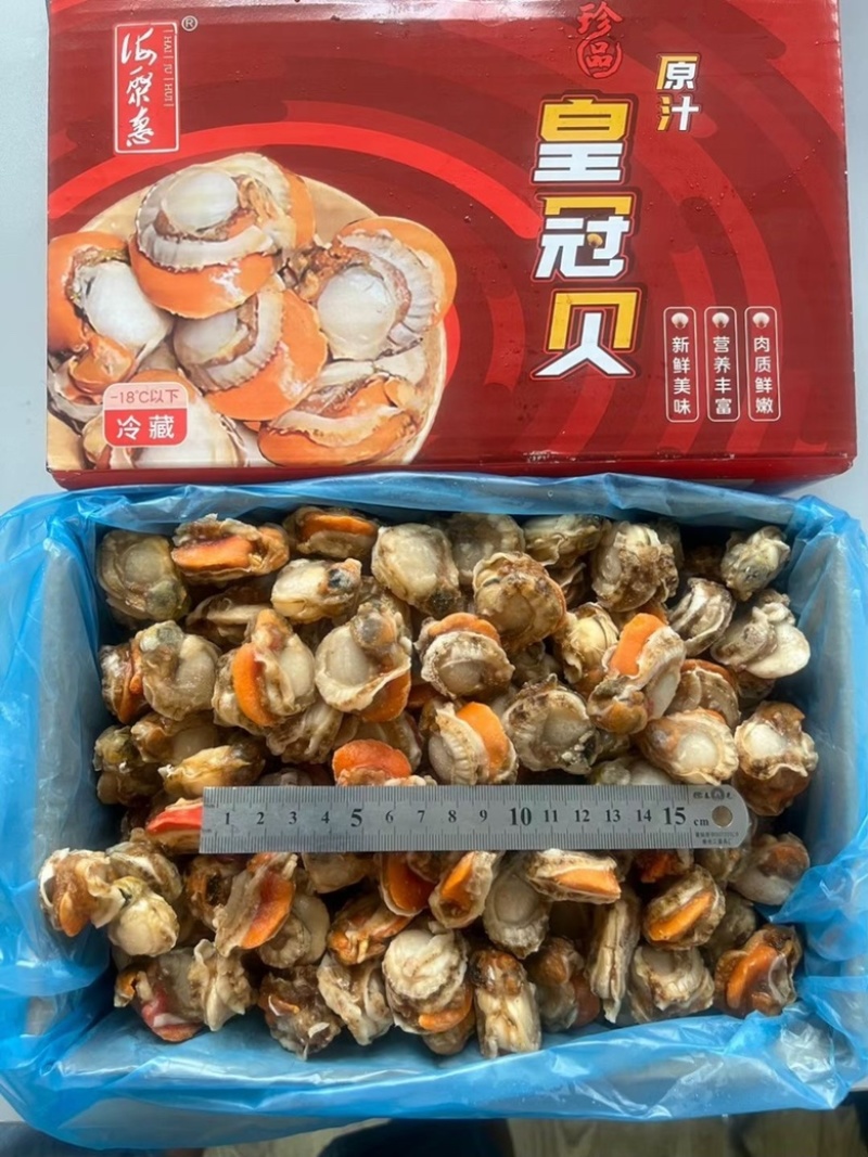 顺丰包邮4斤/箱31-40特级贻贝批发价包邮，可刺身