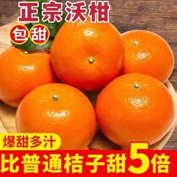 武鸣沃柑/一件代发/产地直供/对接电商/微商/直播平台