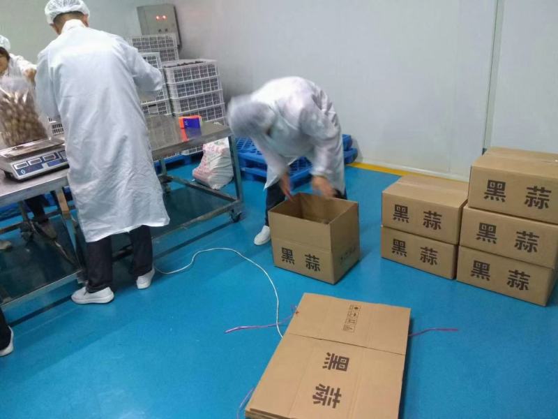 独头黑蒜金乡黑蒜精品黑蒜厂家批发价格