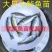 加州鲈鱼苗路亚苗大口黑鲈鱼苗冷水淡水养殖