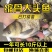大头鱼苗鱼缩骨大头优质胖头鱼苗缩骨花鲢锁骨大头鳙鱼苗