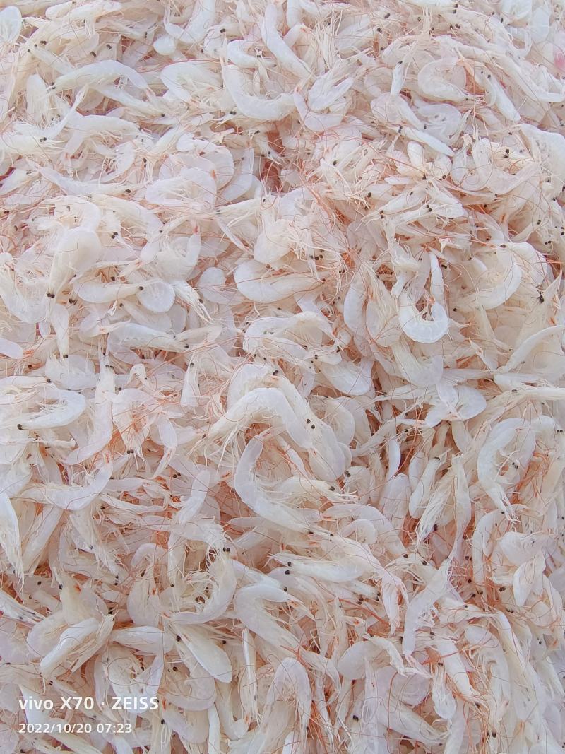 小虾皮渤海湾小虾皮电商用调料用饵料用
