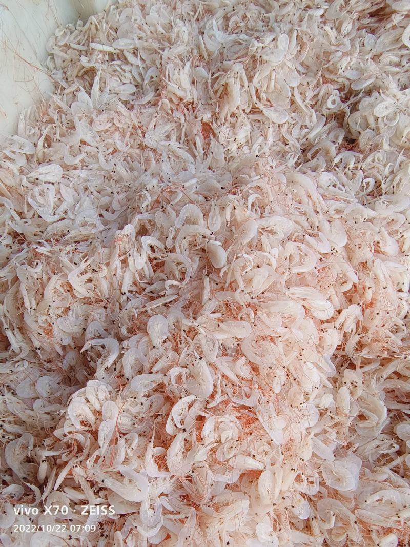 小虾皮渤海湾小虾皮电商用调料用饵料用