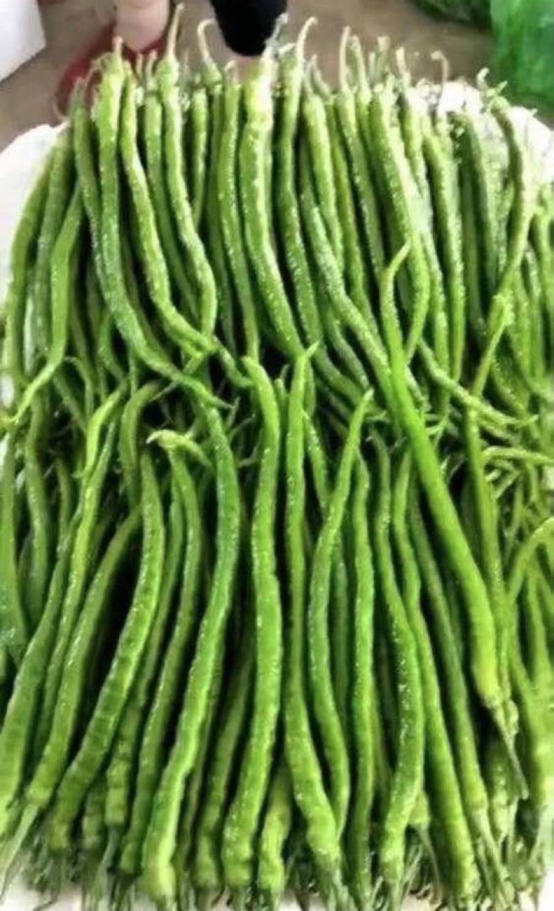 3/4/8号线椒，泡椒，尖椒，螺丝椒，场地直发