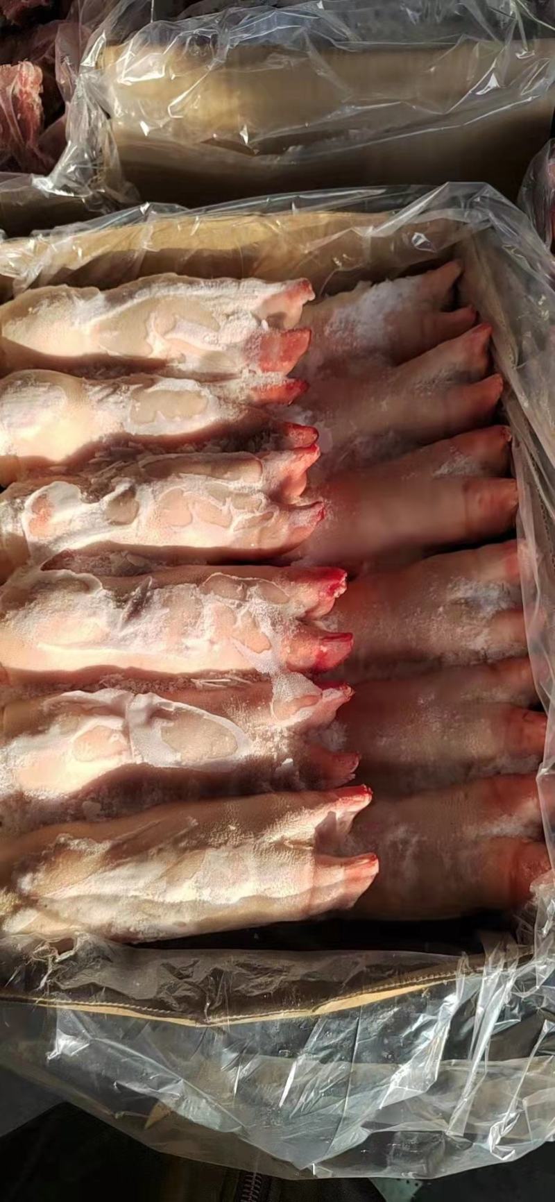 大量批发猪手肉皮猪尾猪手全国发货，需要联系我吧！！！！！
