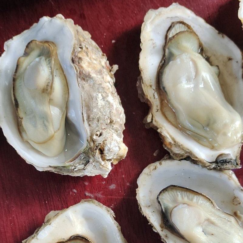 净化无沙货小商小贩的福利货好价不高保无沙肥度够用