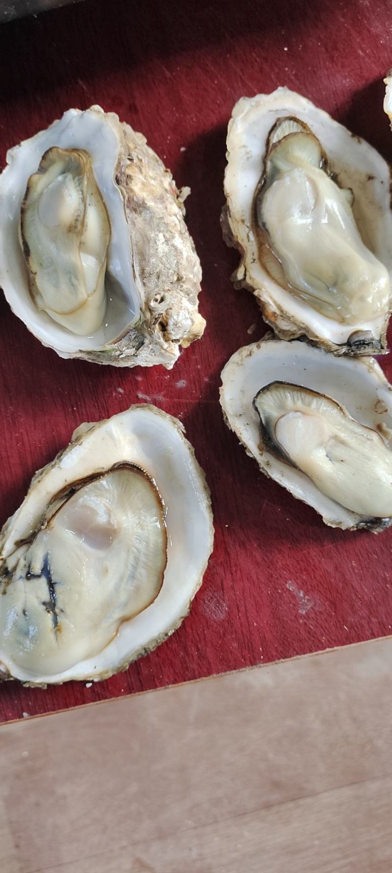 净化无沙货小商小贩的福利货好价不高保无沙肥度够用