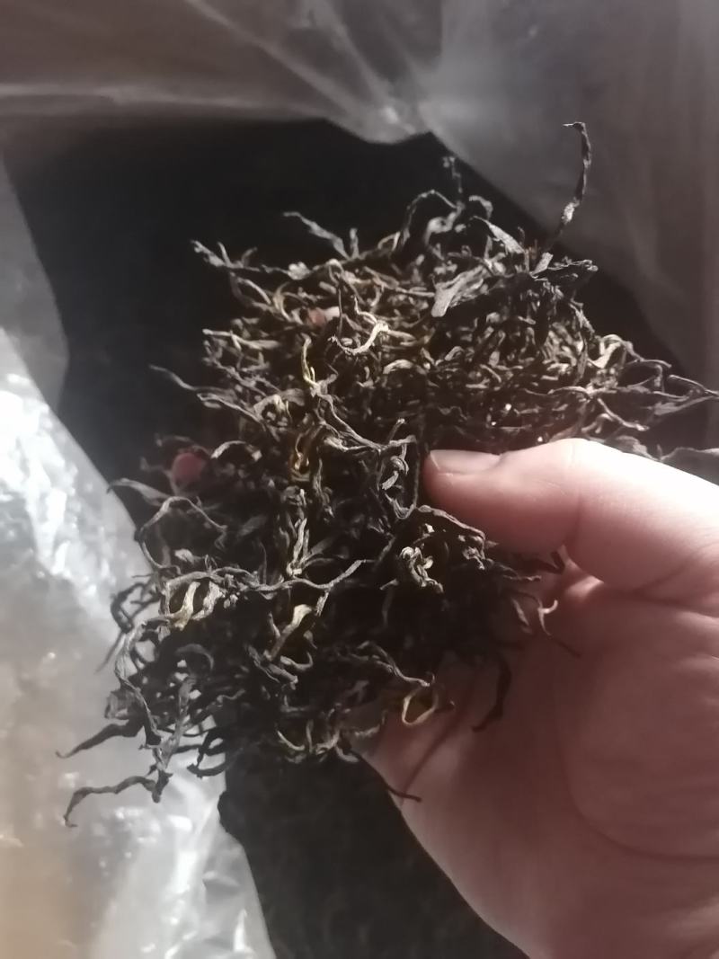 小建茶业云南古树茶批发散茶无良山