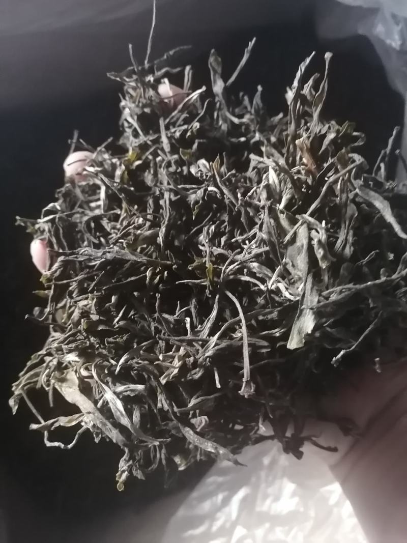 小建茶业云南古树茶批发散茶无良山