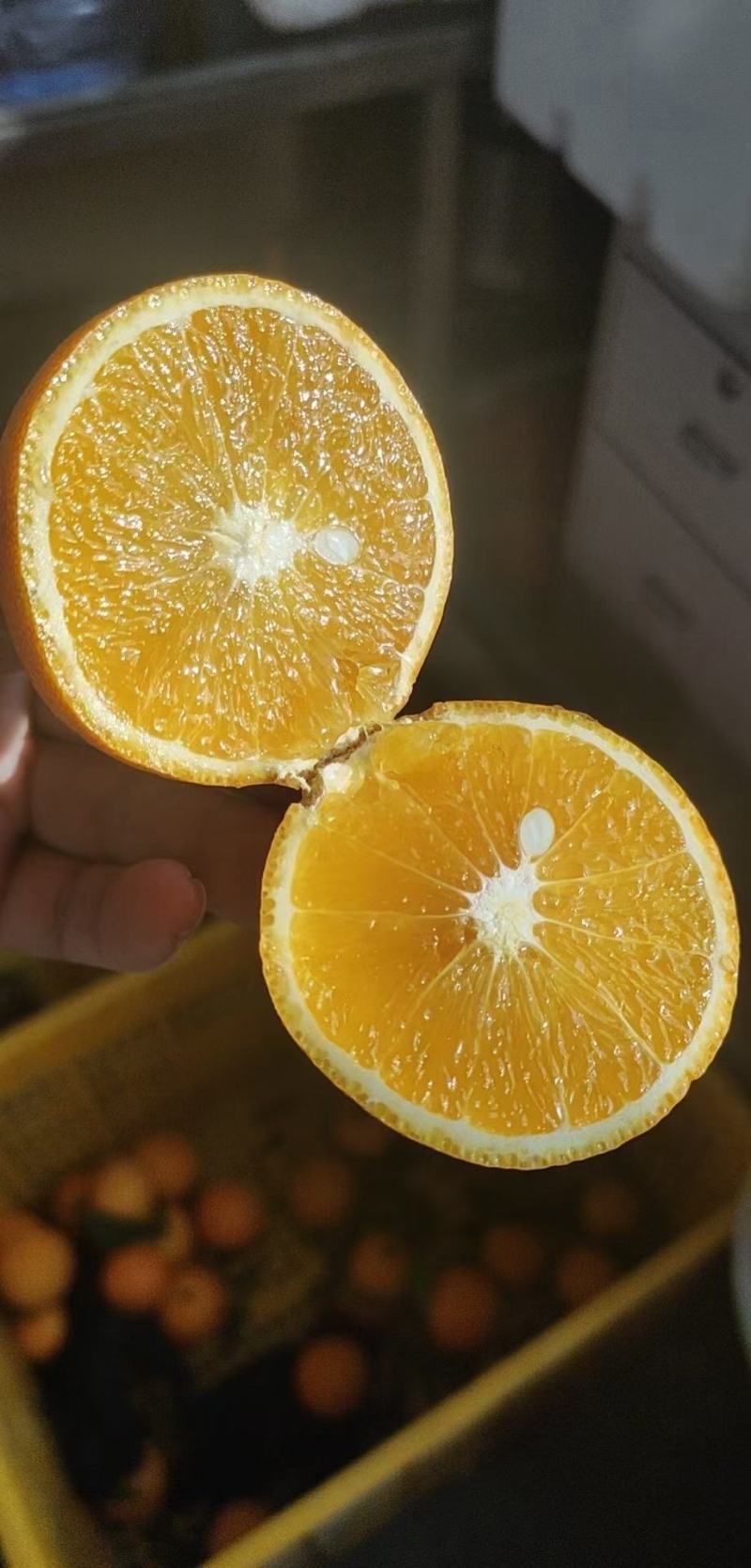 橙子广西桂林橙子大量上市支持视频看货欢迎全国客商来电咨询