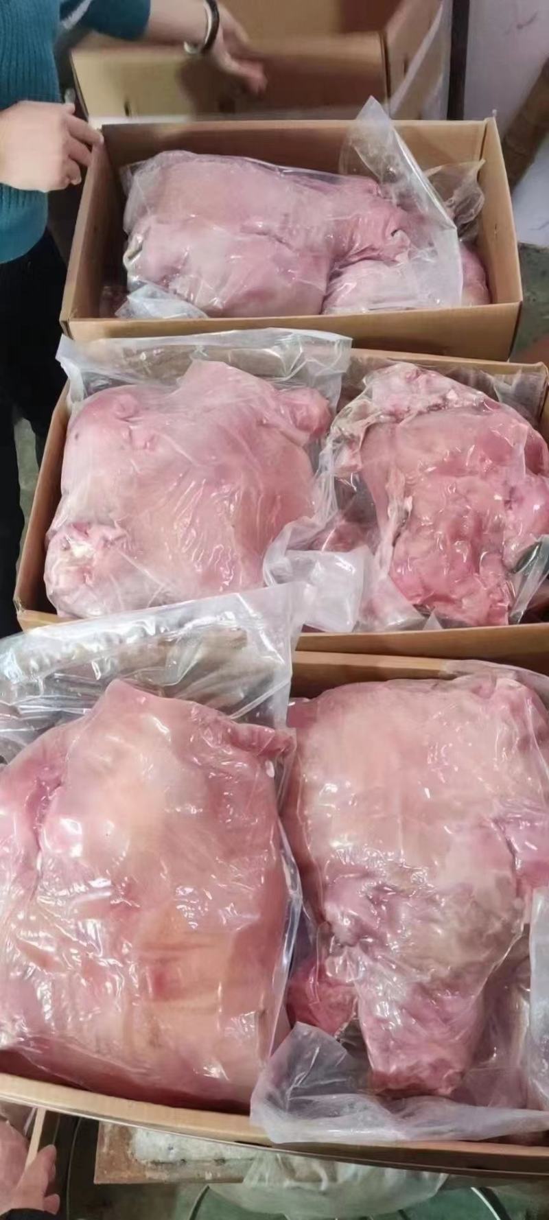 全熟带皮牛头肉水褪毛去油去淋巴厂家直销。欢迎采购