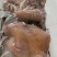 全熟带皮牛头肉水褪毛去油去淋巴厂家直销。欢迎采购