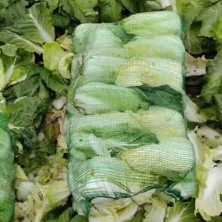 湖北精品娃娃菜，大娃小娃毛菜，库存菜，需要囤库的可以联系