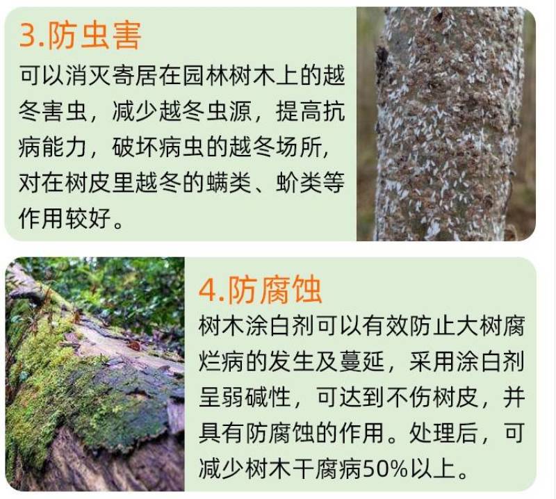 树干涂白剂园林防日灼防寒杀菌防啃咬树木防虫涂白剂果树抗冻