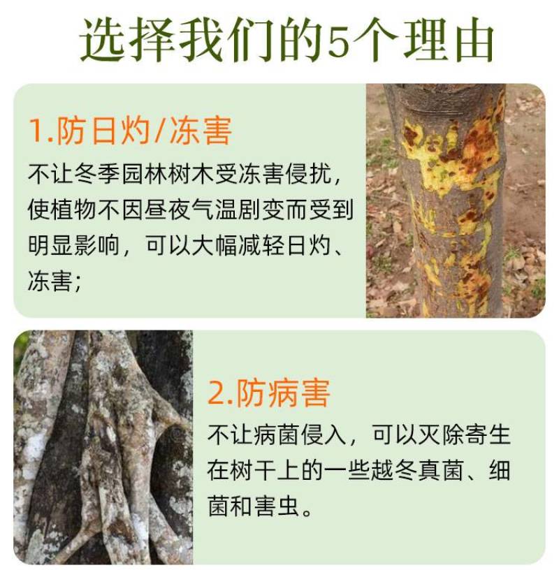 树干涂白剂园林防日灼防寒杀菌防啃咬树木防虫涂白剂果树抗冻