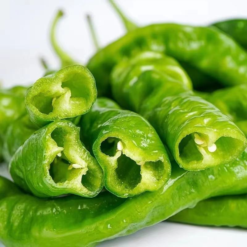 鲜辣椒，螺丝椒全国发货可视频看货，保质保量现发