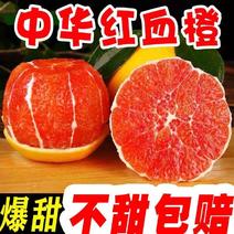 @秭归中华红橙，一手货源看园采果，品质保证，价格。