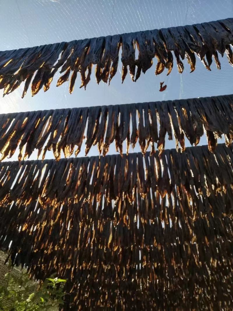 精品黑豆腐竹，河源客家农家黑腐竹，量大优惠全国供货
