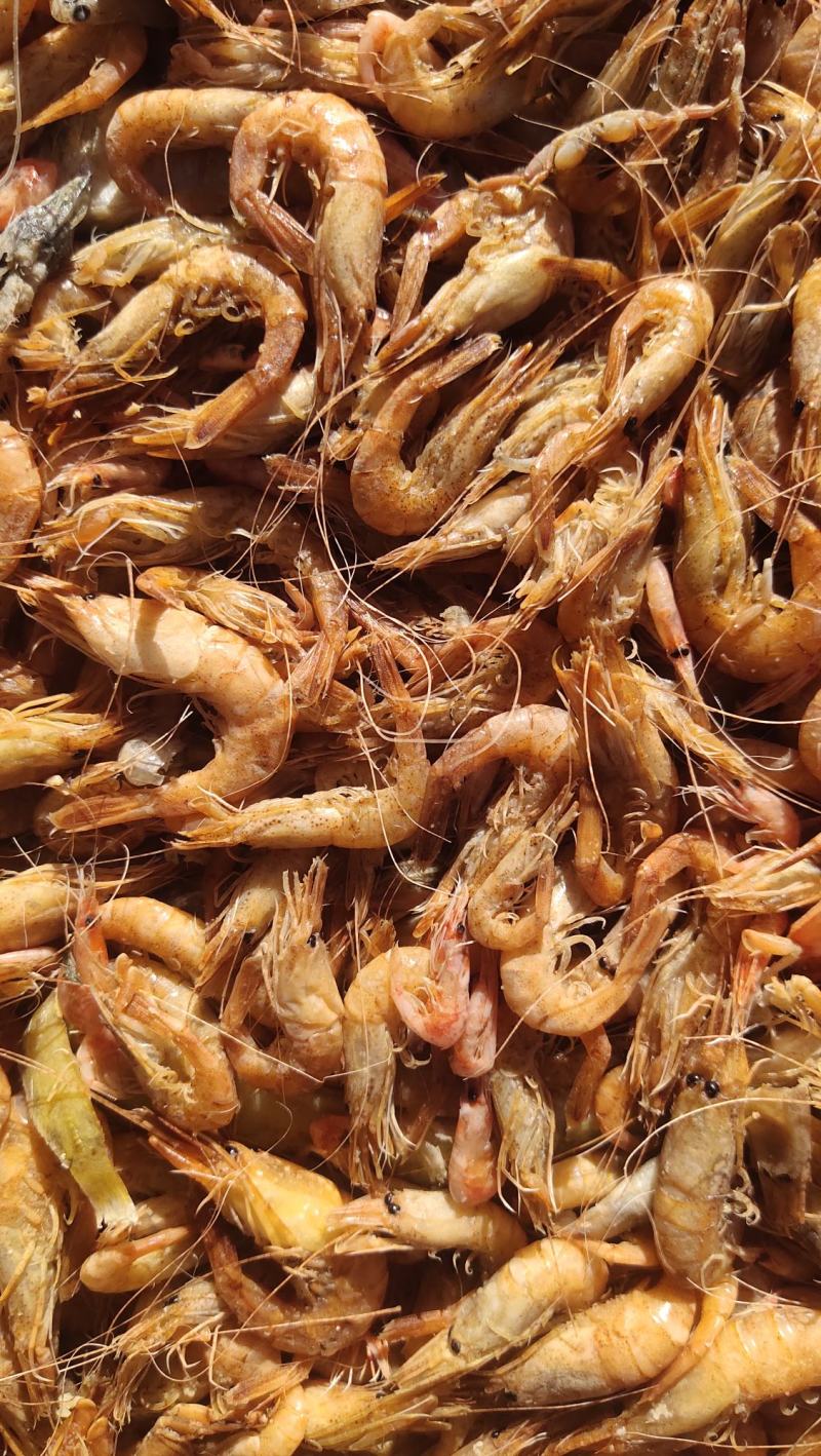 渤海湾草虾黑虾婆婆虾大量出货中，香辣虾，金钩米，海米原