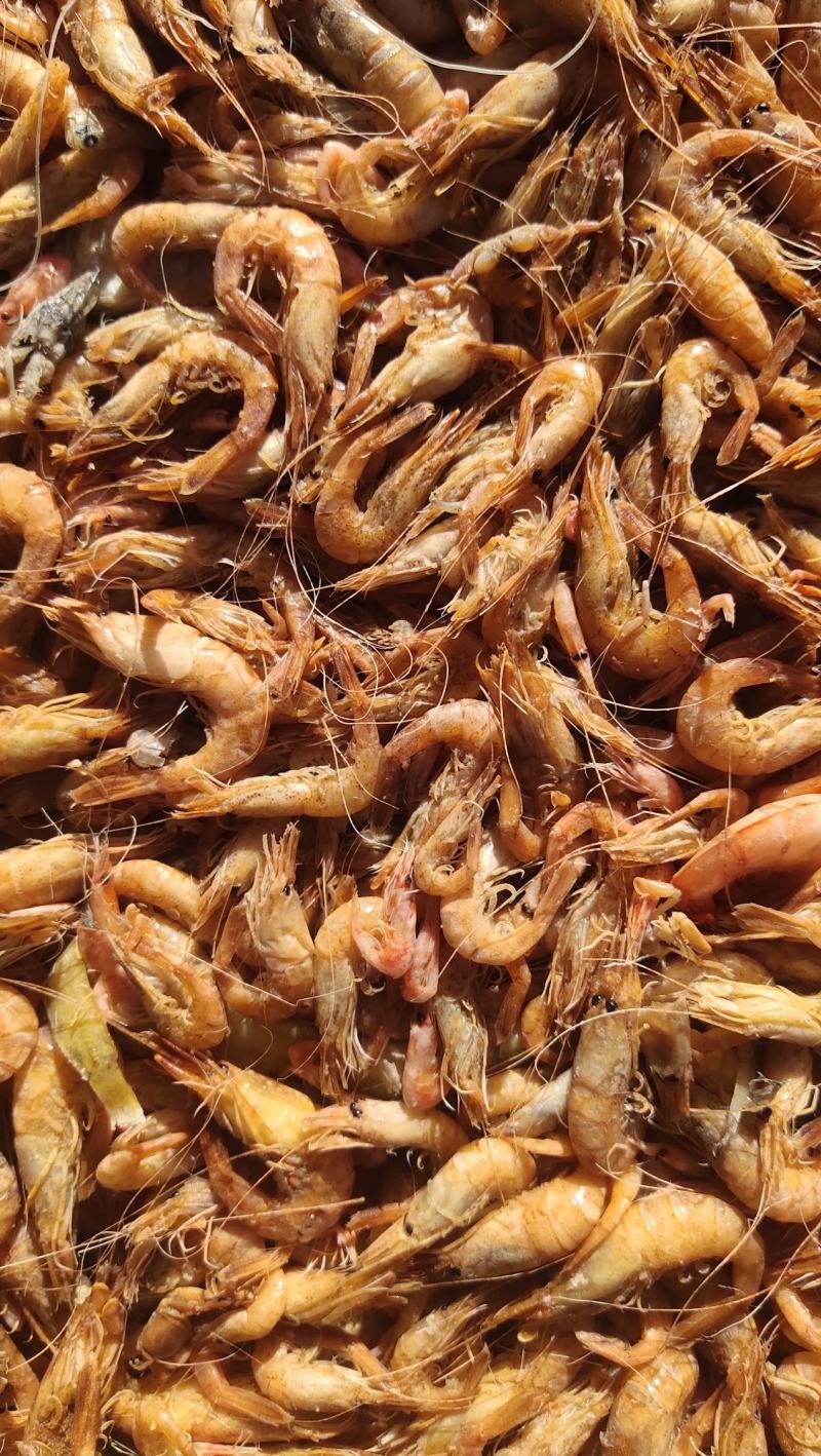 渤海湾草虾黑虾婆婆虾大量出货中，香辣虾，金钩米，海米原