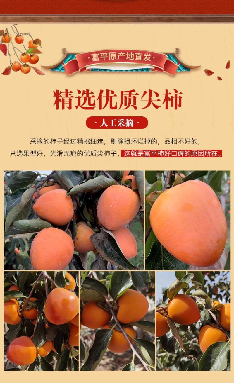 陕西富平霜降柿饼产地直供2022新货量大质优
