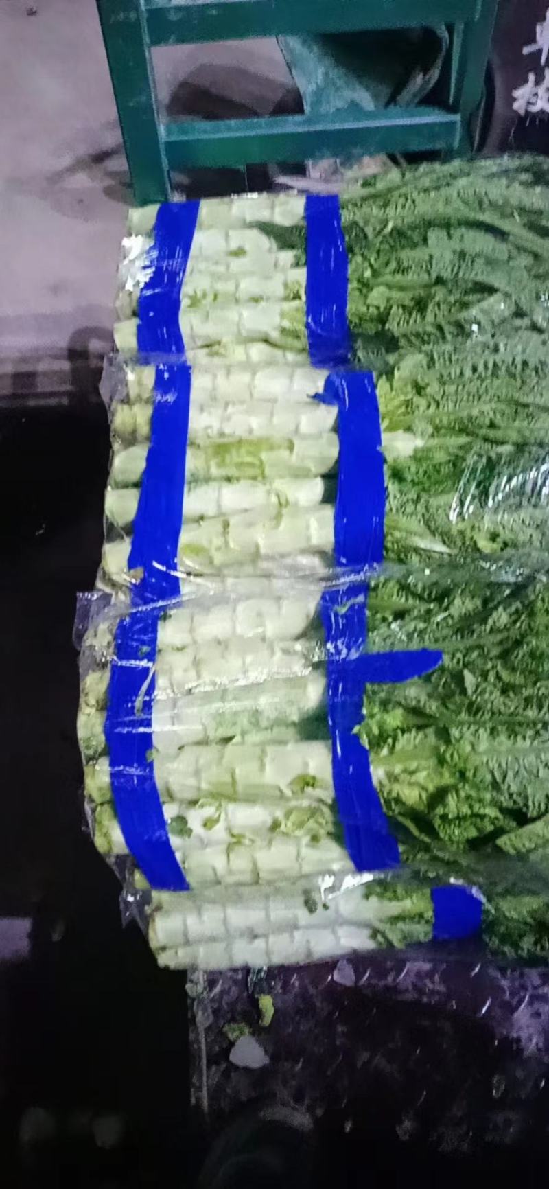 【热销】莴笋大量上市中，供应全国各地批发市场及商超一手货