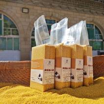（一件代发）陕西米脂黄小米当季新米农家自产小黄米月子米