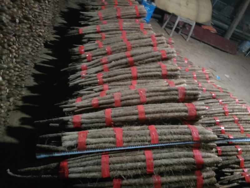 货源充足，货品优，服务好，交通方便，以质量求生存