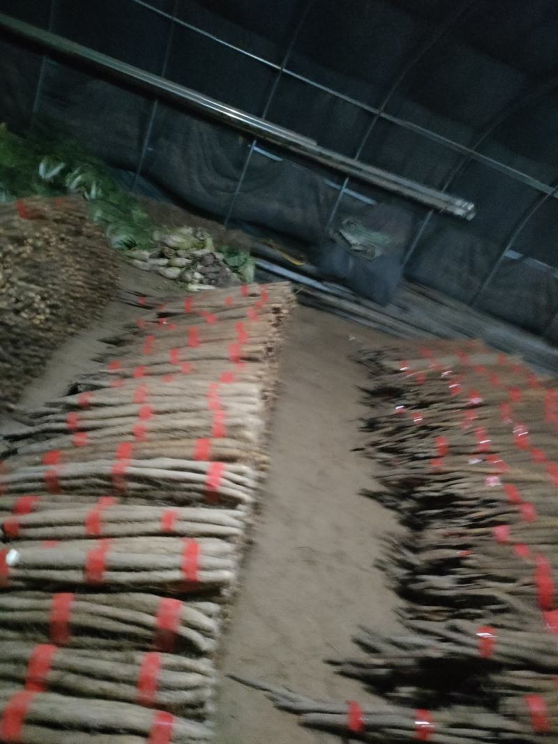 货源充足，货品优，服务好，交通方便，以质量求生存