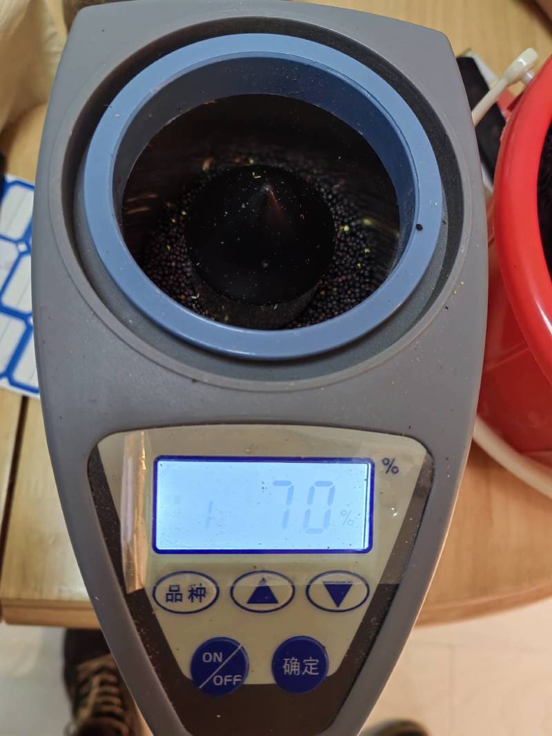俄罗斯进口油菜籽，含油高，出油好，油色漂亮芥酸不到10！