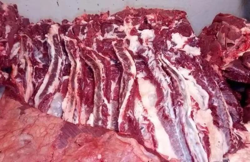 板冻牛肉，大牛板肉，瘦肉度高，一手货现发量大从优