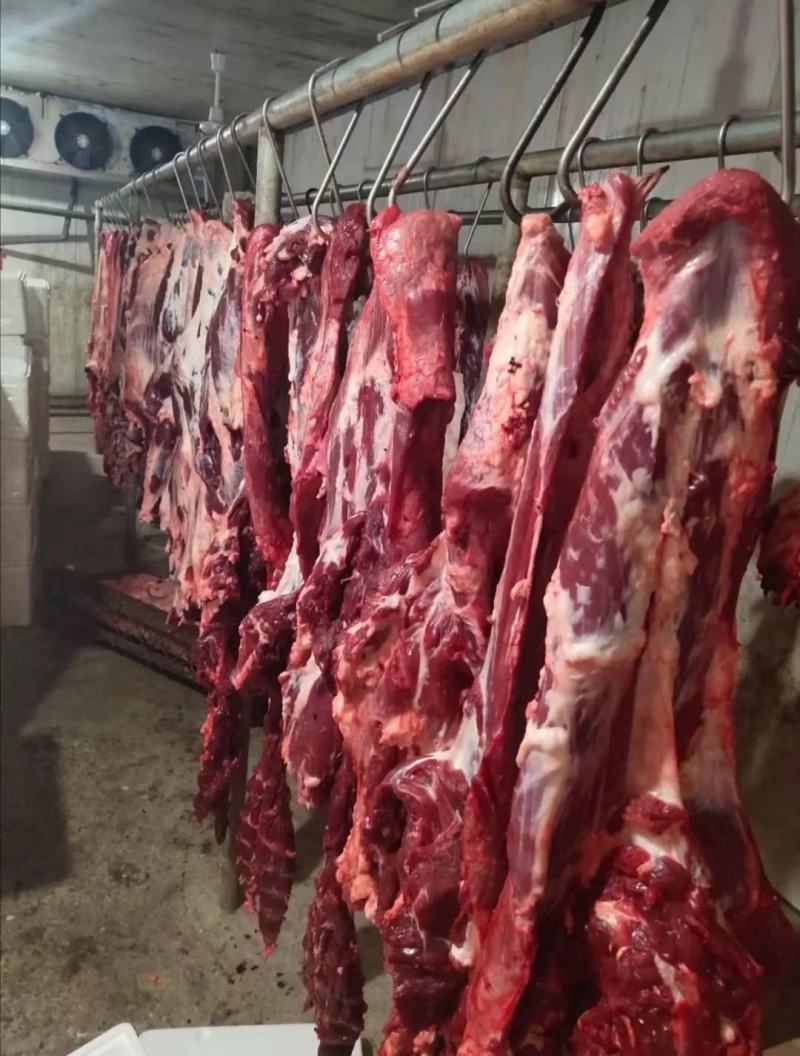 板冻牛肉，大牛板肉，瘦肉度高，一手货现发量大从优