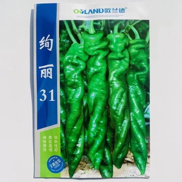 辣椒种子绚丽31螺丝椒种子大果型早熟性好辣味浓口感佳的辣