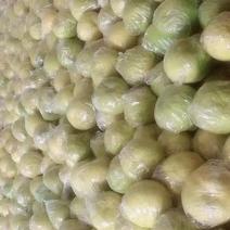 湖南江永三十年老树柚，肉甜，货源充足有需要的老板！！