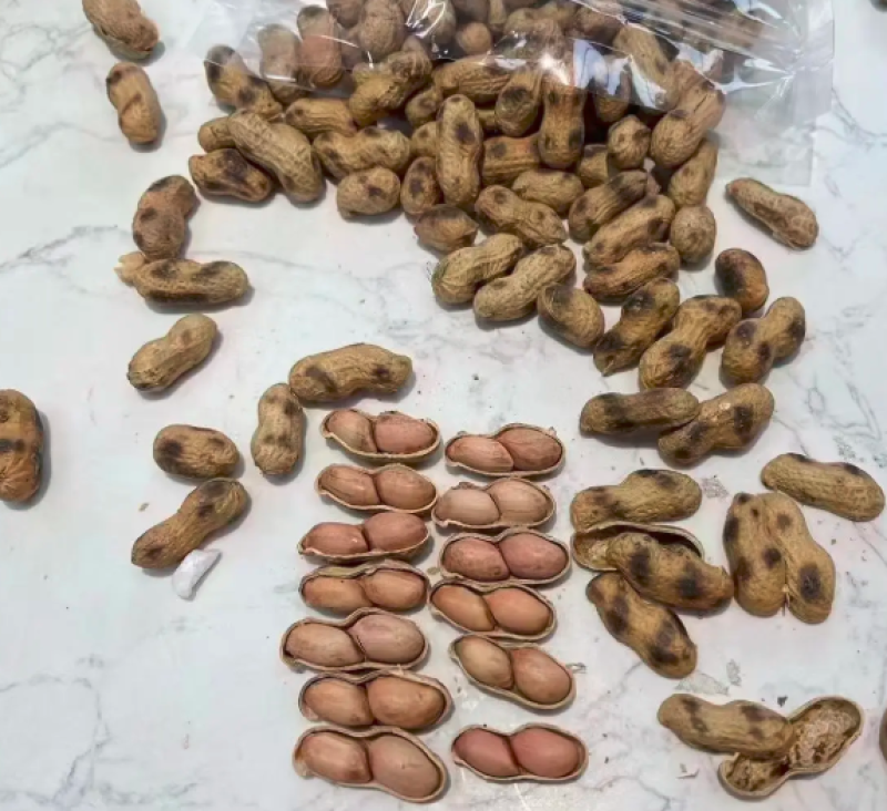 精品炒花生熟花生，河源和平农家沙炒花生，全国供货