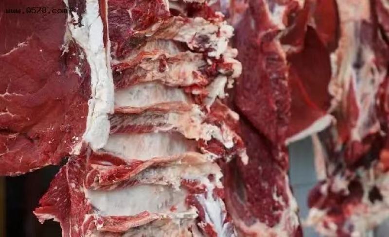板冻牛肉，大牛板肉，瘦肉度高，一手货现发量大从优