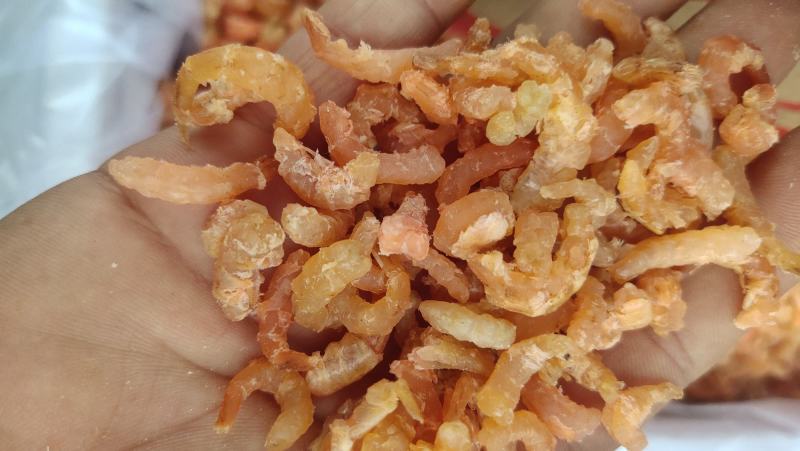 无盐淡干金钩米，海米口感鲜美，水饺厂香辣酱原料现货
