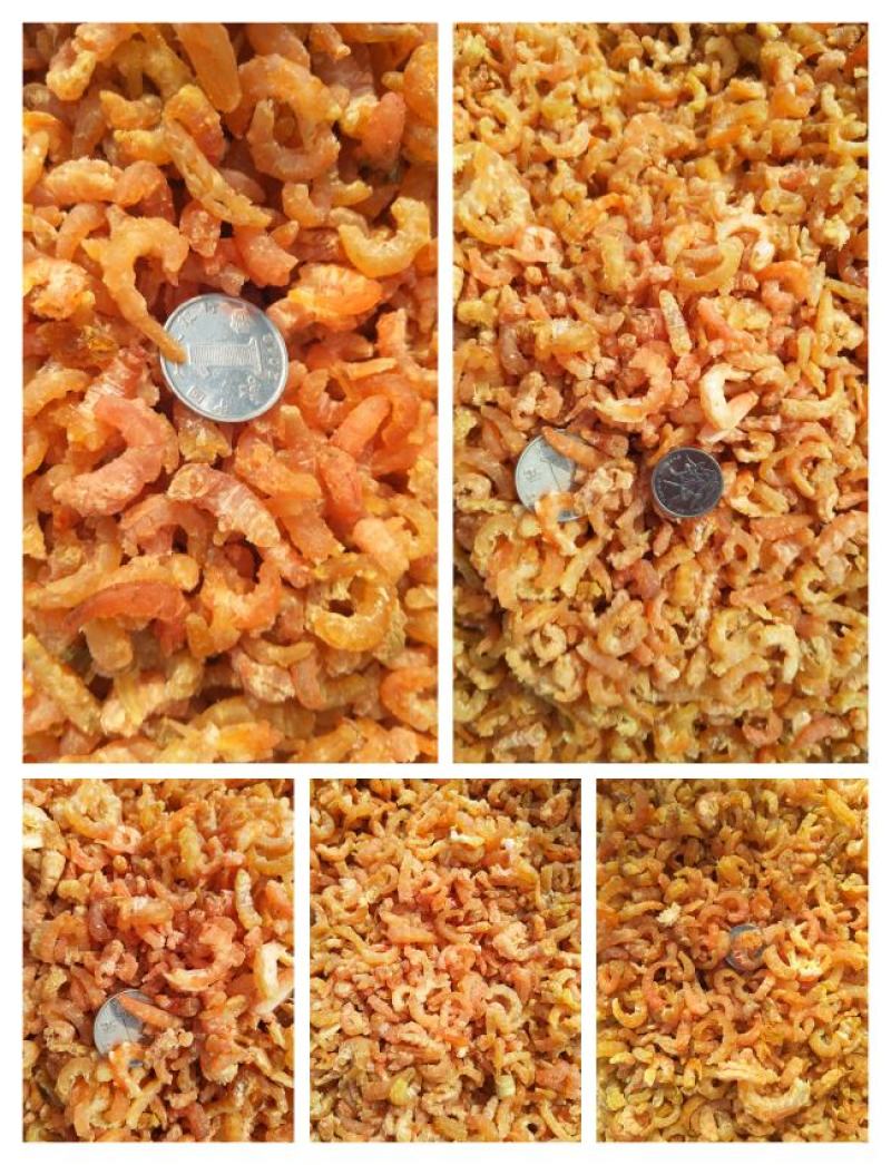 无盐淡干金钩米，海米口感鲜美，水饺厂香辣酱原料现货