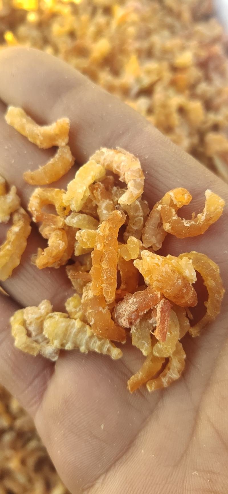 无盐淡干金钩米，海米口感鲜美，水饺厂香辣酱原料现货