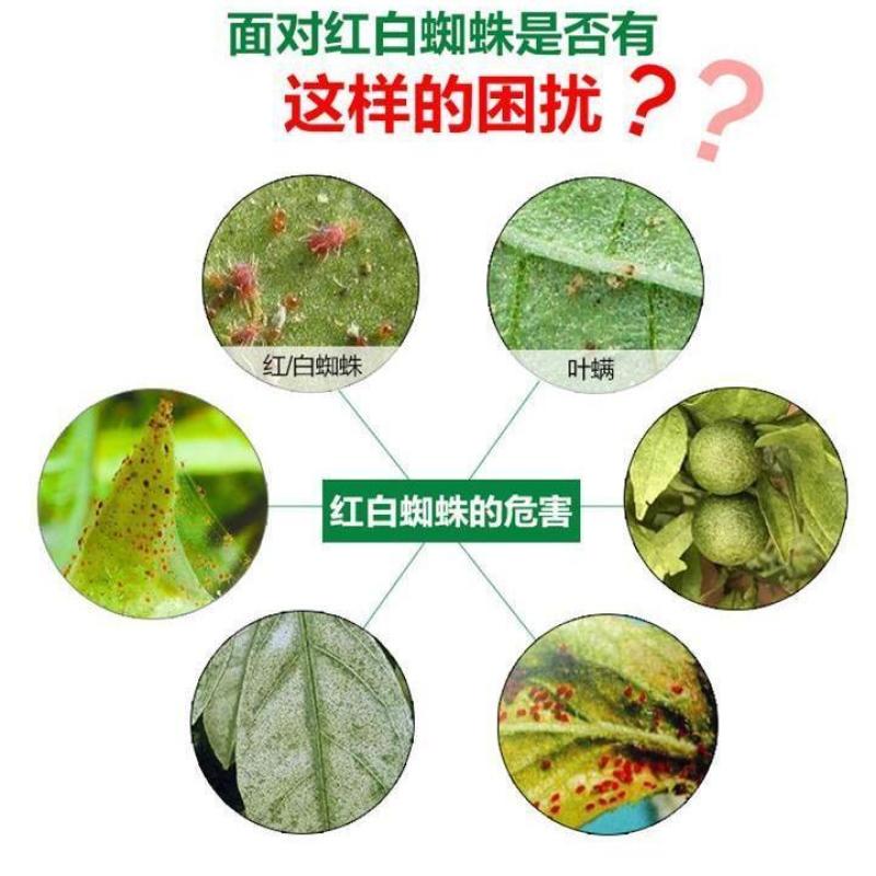 重庆岭石满歼螨歼红蜘蛛柑橘果树药红蜘蛛药