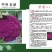 紫茵65紫菜花种子半松型口感脆嫩富含花青素经济效益高