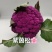 紫茵65紫菜花种子半松型口感脆嫩富含花青素经济效益高
