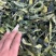 新品冬瓜皮色青卷多手工机拨晒干烘干自己加工一手货源！